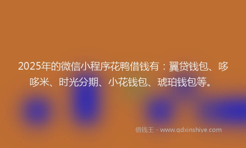 2025年的微信小程序花鸭借钱有：翼贷钱包、哆哆米、时光分期、小花钱包、琥珀钱包等。