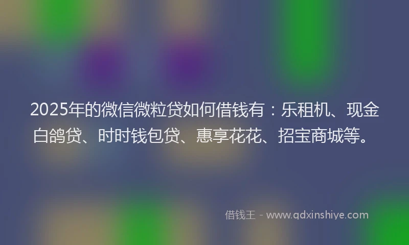 2025年的微信微粒贷如何借钱有：乐租机、现金白鸽贷、时时钱包贷、惠享花花、招宝商城等。