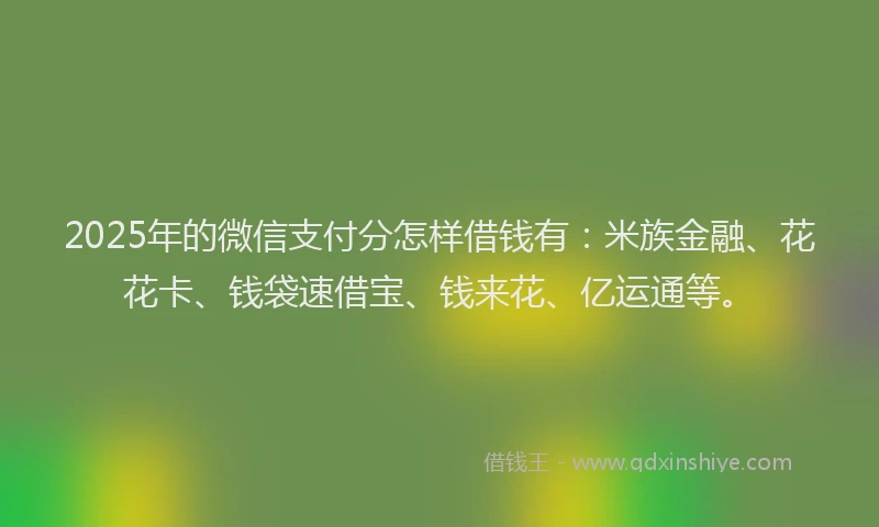 2025年的微信支付分怎样借钱有：米族金融、花花卡、钱袋速借宝、钱来花、亿运通等。