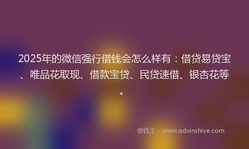 2025年的微信强行借钱会怎么样有：借贷易贷宝、唯品花取现、借款宝贷、民贷速借、银杏花等。