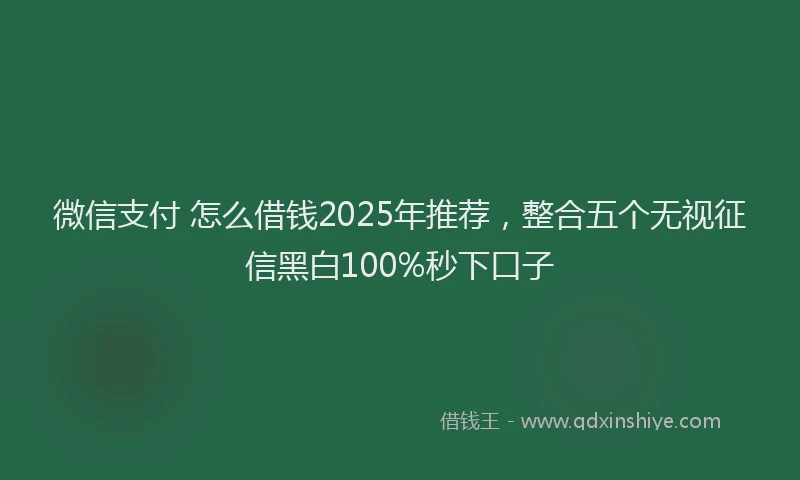 微信支付 怎么借钱2025年推荐，整合五个无视征信黑白100%秒下口子