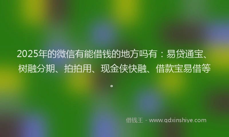 2025年的微信有能借钱的地方吗有：易贷通宝、树融分期、拍拍用、现金侠快融、借款宝易借等。