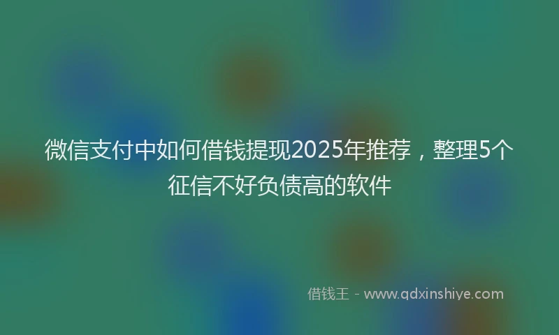 微信支付中如何借钱提现2025年推荐，整理5个征信不好负债高的软件