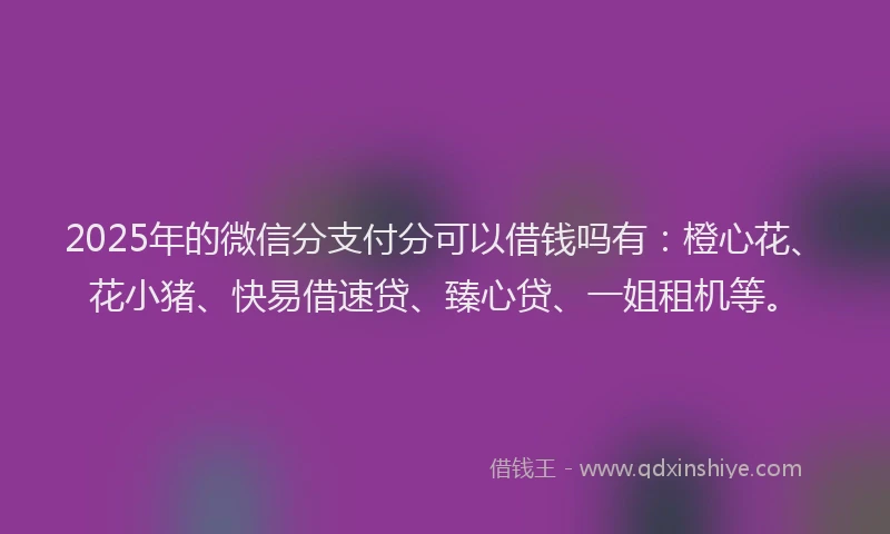 2025年的微信分支付分可以借钱吗有：橙心花、花小猪、快易借速贷、臻心贷、一姐租机等。