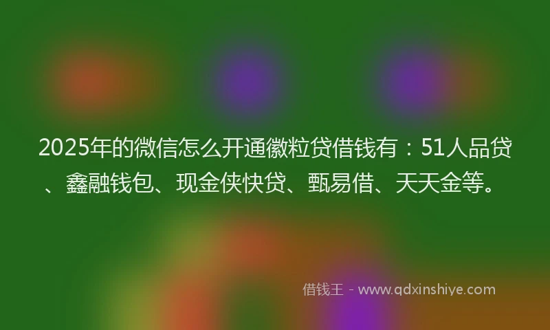 2025年的微信怎么开通徽粒贷借钱有：51人品贷、鑫融钱包、现金侠快贷、甄易借、天天金等。