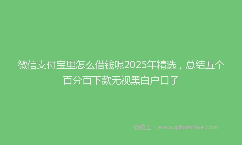 微信支付宝里怎么借钱呢2025年精选，总结五个百分百下款无视黑白户口子