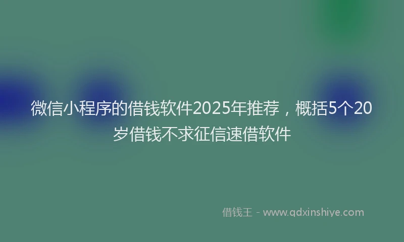 微信小程序的借钱软件2025年推荐，概括5个20岁借钱不求征信速借软件