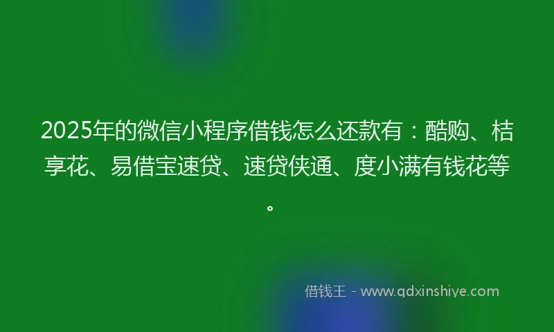 2025年的微信小程序借钱怎么还款有：酷购、桔享花、易借宝速贷、速贷侠通、度小满有钱花等。