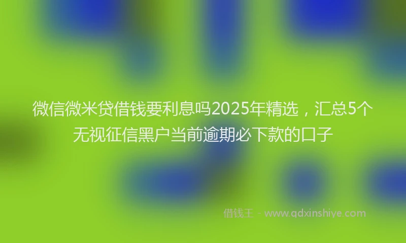 微信微米贷借钱要利息吗2025年精选，汇总5个无视征信黑户当前逾期必下款的口子