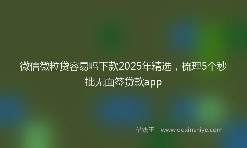 微信微粒贷容易吗下款2025年精选，梳理5个秒批无面签贷款app