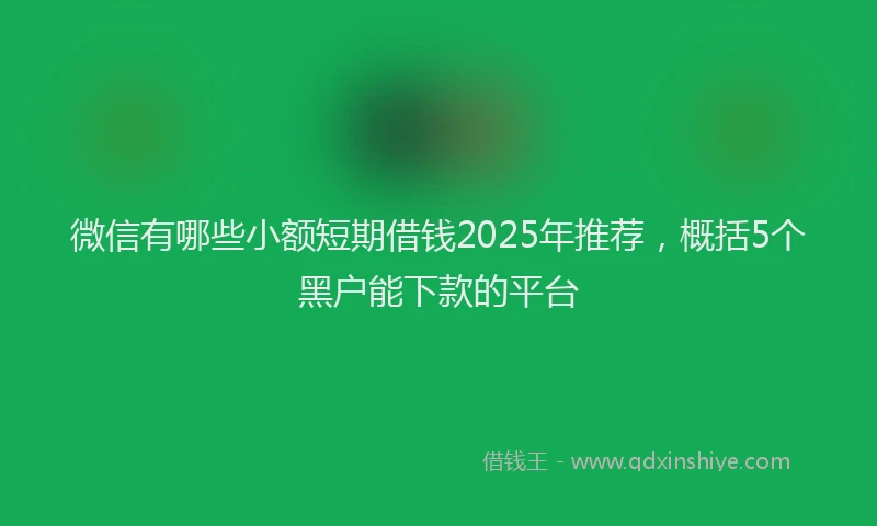 微信有哪些小额短期借钱2025年推荐，概括5个黑户能下款的平台