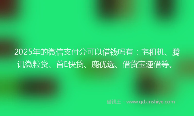 2025年的微信支付分可以借钱吗有：宅租机、腾讯微粒贷、首E快贷、鹿优选、借贷宝速借等。