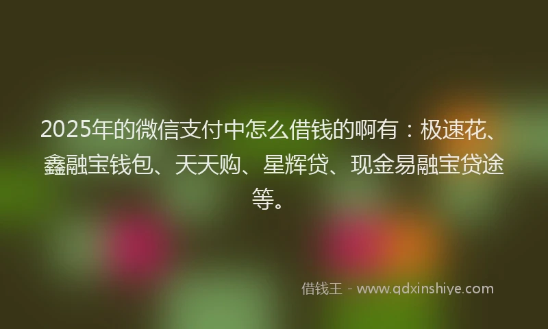 2025年的微信支付中怎么借钱的啊有：极速花、鑫融宝钱包、天天购、星辉贷、现金易融宝贷途等。