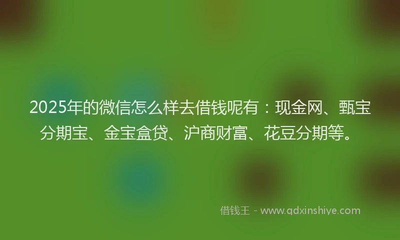 2025年的微信怎么样去借钱呢有：现金网、甄宝分期宝、金宝盒贷、沪商财富、花豆分期等。