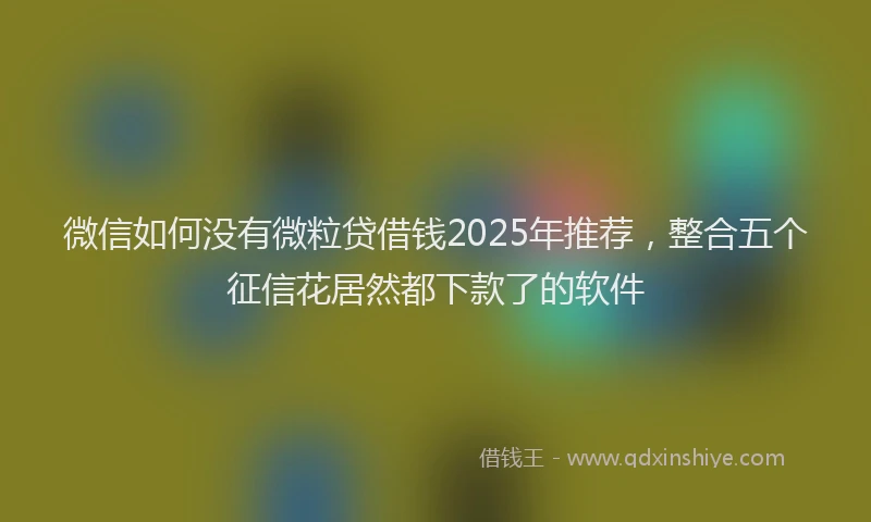 微信如何没有微粒贷借钱2025年推荐，整合五个征信花居然都下款了的软件