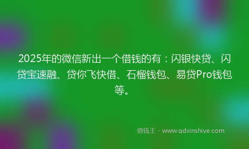 2025年的微信新出一个借钱的有：闪银快贷、闪贷宝速融、贷你飞快借、石榴钱包、易贷Pro钱包等。