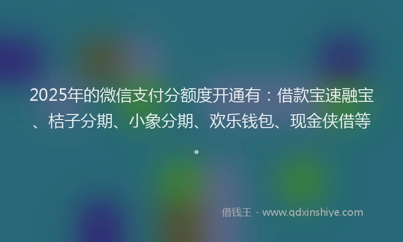 2025年的微信支付分额度开通有：借款宝速融宝、桔子分期、小象分期、欢乐钱包、现金侠借等。