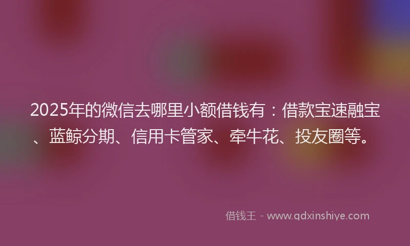 2025年的微信去哪里小额借钱有：借款宝速融宝、蓝鲸分期、信用卡管家、牵牛花、投友圈等。