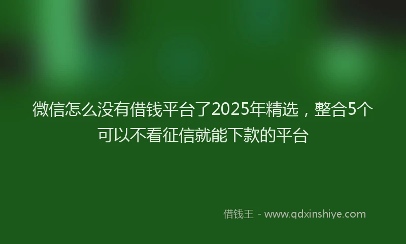 微信怎么没有借钱平台了2025年精选，整合5个可以不看征信就能下款的平台