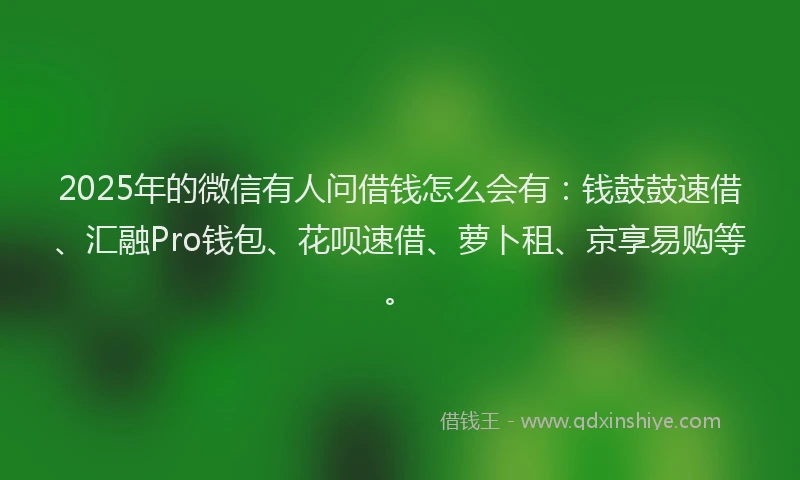 2025年的微信有人问借钱怎么会有：钱鼓鼓速借、汇融Pro钱包、花呗速借、萝卜租、京享易购等。