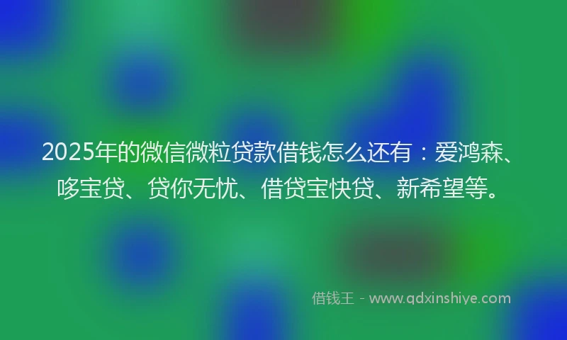 2025年的微信微粒贷款借钱怎么还有：爱鸿森、哆宝贷、贷你无忧、借贷宝快贷、新希望等。