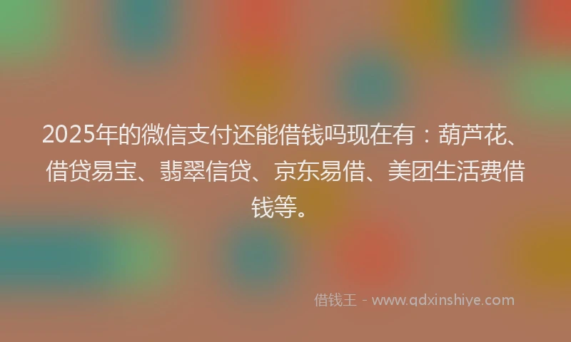 2025年的微信支付还能借钱吗现在有：葫芦花、借贷易宝、翡翠信贷、京东易借、美团生活费借钱等。