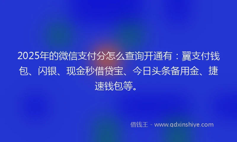 2025年的微信支付分怎么查询开通有：翼支付钱包、闪银、现金秒借贷宝、今日头条备用金、捷速钱包等。