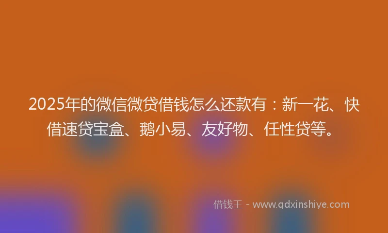 2025年的微信微贷借钱怎么还款有：新一花、快借速贷宝盒、鹅小易、友好物、任性贷等。
