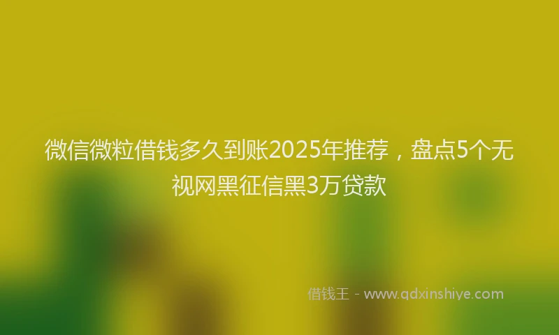 微信微粒借钱多久到账2025年推荐，盘点5个无视网黑征信黑3万贷款