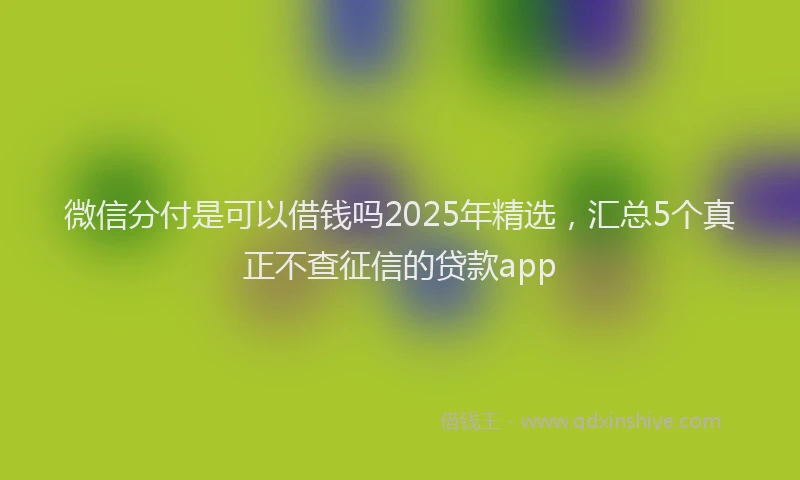 微信分付是可以借钱吗2025年精选，汇总5个真正不查征信的贷款app