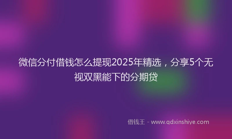 微信分付借钱怎么提现2025年精选，分享5个无视双黑能下的分期贷