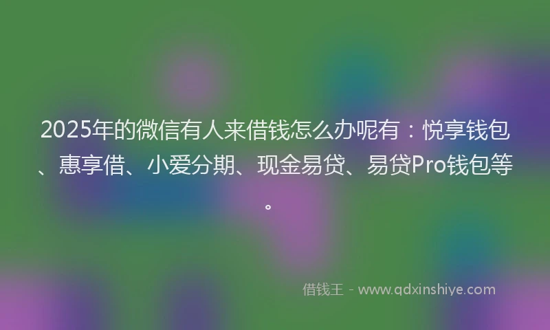 2025年的微信有人来借钱怎么办呢有：悦享钱包、惠享借、小爱分期、现金易贷、易贷Pro钱包等。
