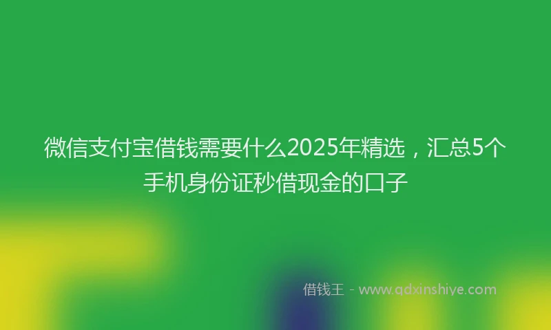微信支付宝借钱需要什么2025年精选，汇总5个手机身份证秒借现金的口子