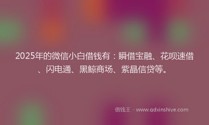 2025年的微信小白借钱有：瞬借宝融、花呗速借、闪电通、黑鲸商场、紫晶信贷等。