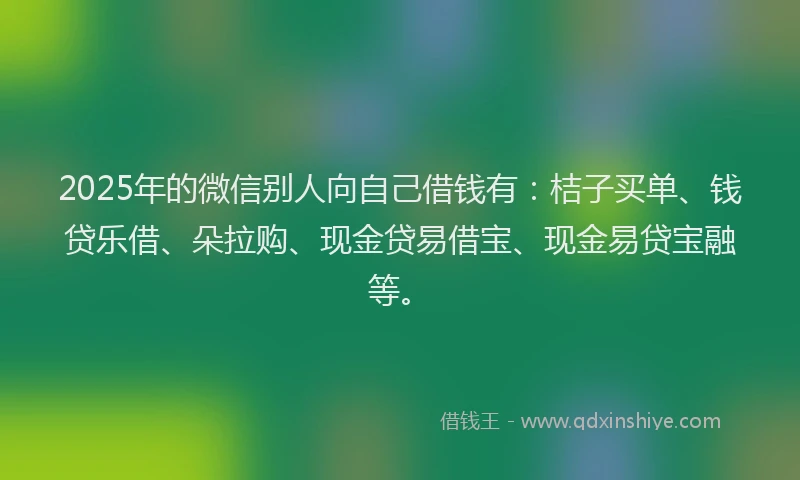 2025年的微信别人向自己借钱有：桔子买单、钱贷乐借、朵拉购、现金贷易借宝、现金易贷宝融等。