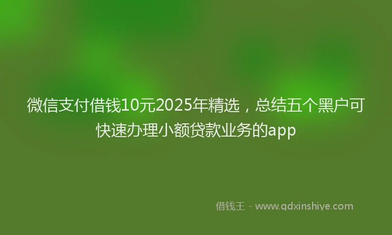 微信支付借钱10元2025年精选，总结五个黑户可快速办理小额贷款业务的app