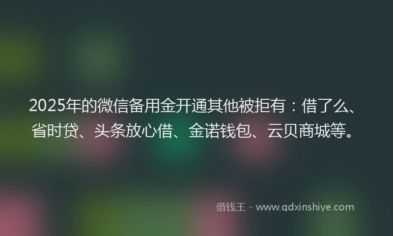 2025年的微信备用金开通其他被拒有：借了么、省时贷、头条放心借、金诺钱包、云贝商城等。
