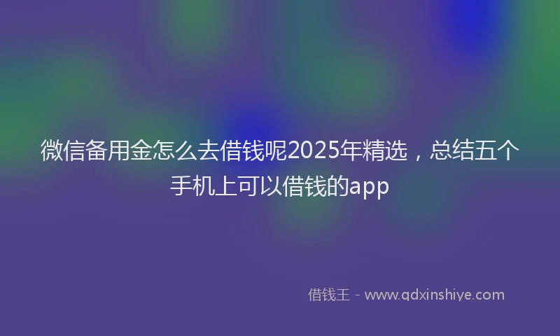 微信备用金怎么去借钱呢2025年精选，总结五个手机上可以借钱的app