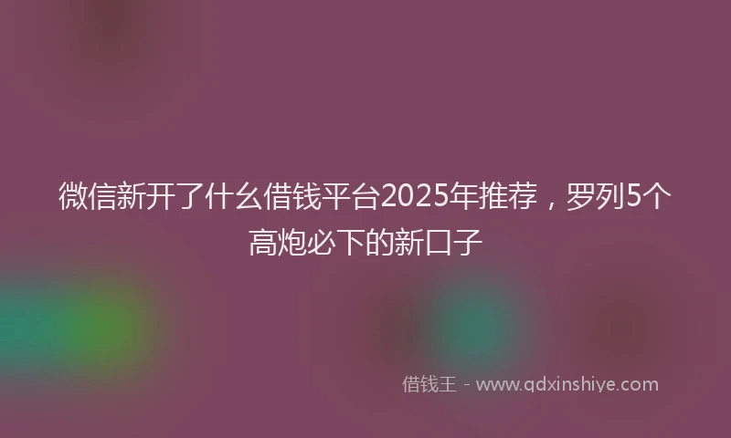 微信新开了什幺借钱平台2025年推荐，罗列5个高炮必下的新口子