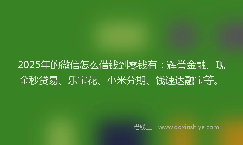 2025年的微信怎么借钱到零钱有：辉誉金融、现金秒贷易、乐宝花、小米分期、钱速达融宝等。