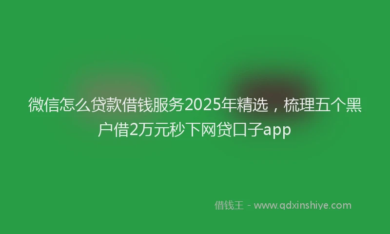 微信怎么贷款借钱服务2025年精选，梳理五个黑户借2万元秒下网贷口子app