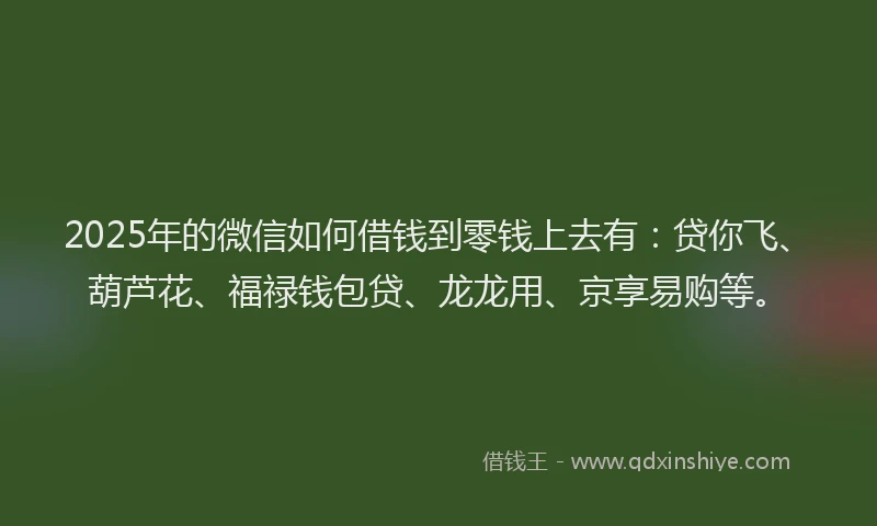 2025年的微信如何借钱到零钱上去有：贷你飞、葫芦花、福禄钱包贷、龙龙用、京享易购等。