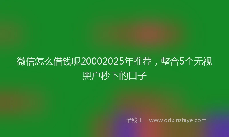 微信怎么借钱呢20002025年推荐，整合5个无视黑户秒下的口子