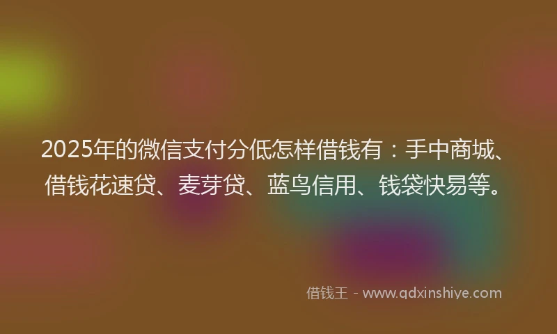 2025年的微信支付分低怎样借钱有：手中商城、借钱花速贷、麦芽贷、蓝鸟信用、钱袋快易等。