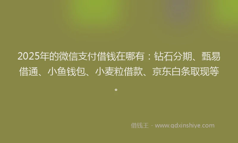 2025年的微信支付借钱在哪有：钻石分期、甄易借通、小鱼钱包、小麦粒借款、京东白条取现等。
