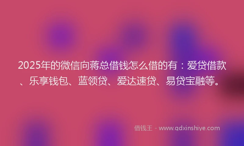 2025年的微信向蒋总借钱怎么借的有：爱贷借款、乐享钱包、蓝领贷、爱达速贷、易贷宝融等。