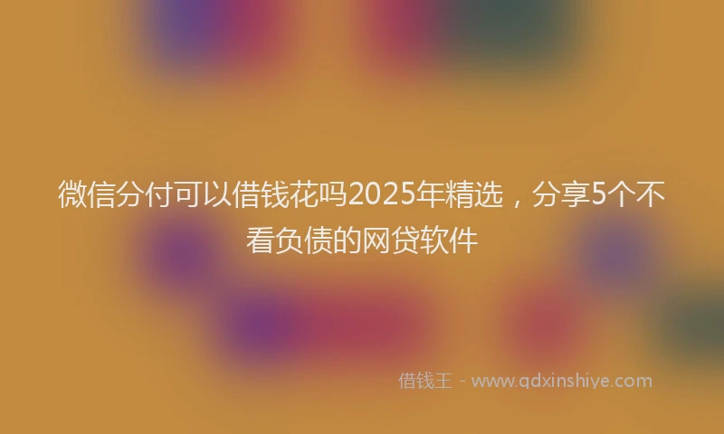 微信分付可以借钱花吗2025年精选，分享5个不看负债的网贷软件
