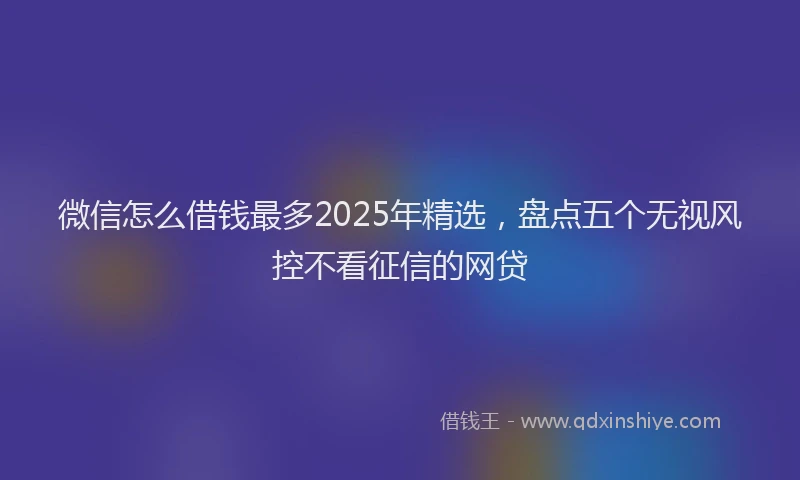 微信怎么借钱最多2025年精选，盘点五个无视风控不看征信的网贷