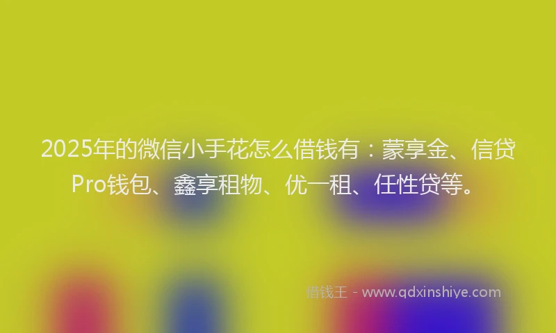 2025年的微信小手花怎么借钱有：蒙享金、信贷Pro钱包、鑫享租物、优一租、任性贷等。