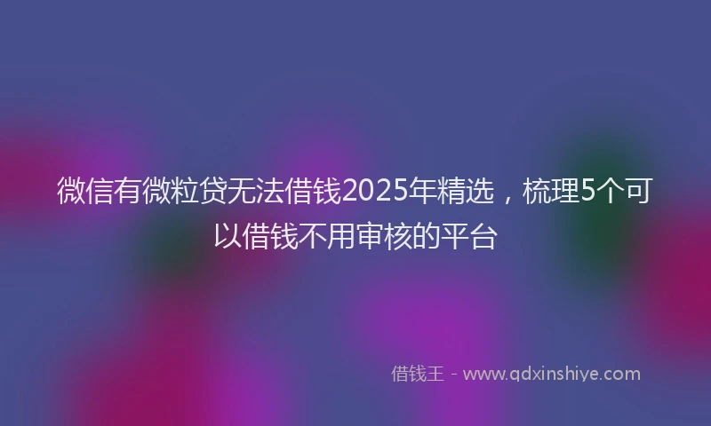 微信有微粒贷无法借钱2025年精选，梳理5个可以借钱不用审核的平台